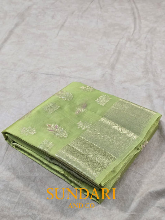 Pista Green | Meenakari Jaal | Pure Dupion Silk Saree
